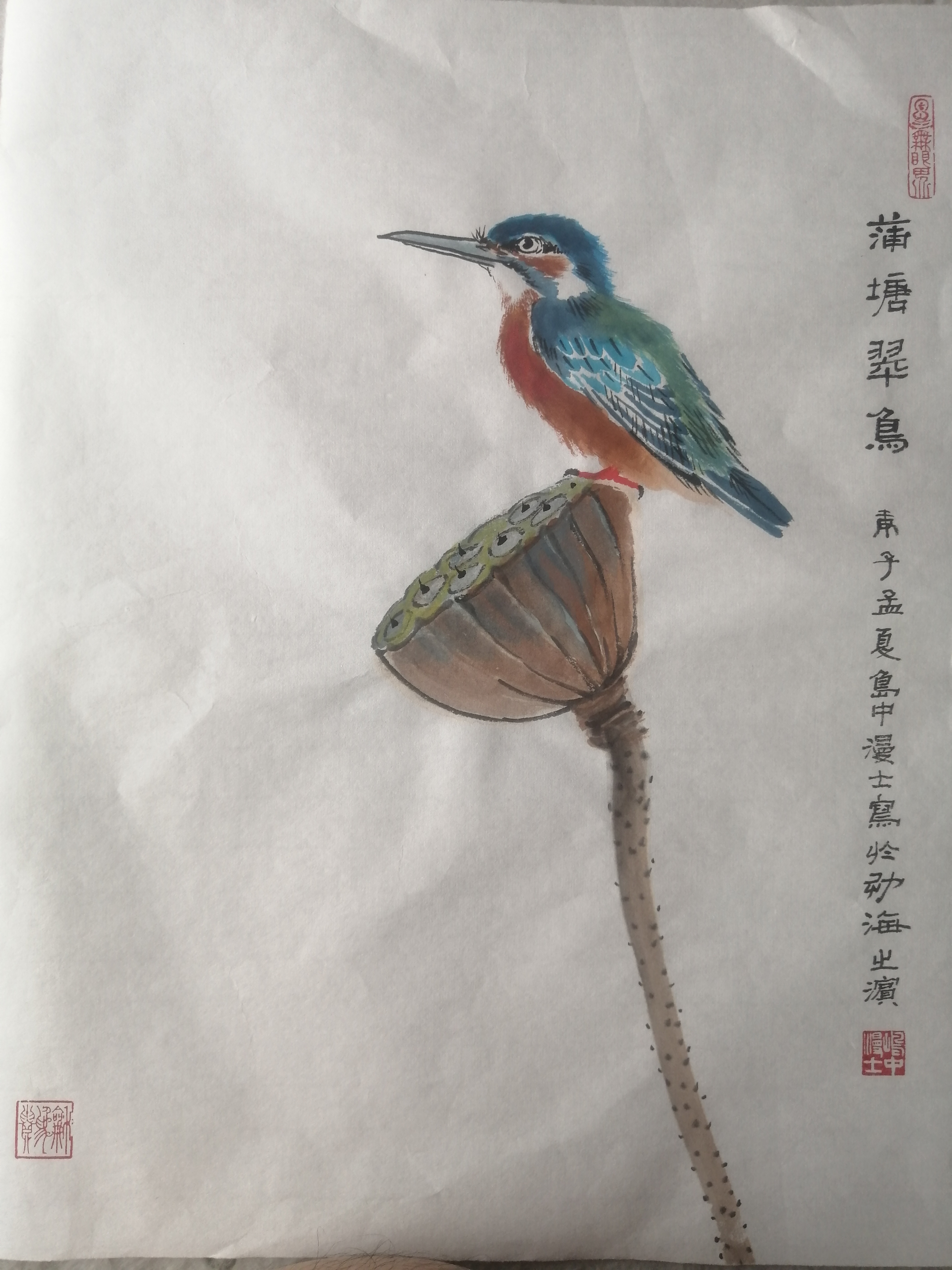 蒲塘翠鸟_20200826234244.jpg