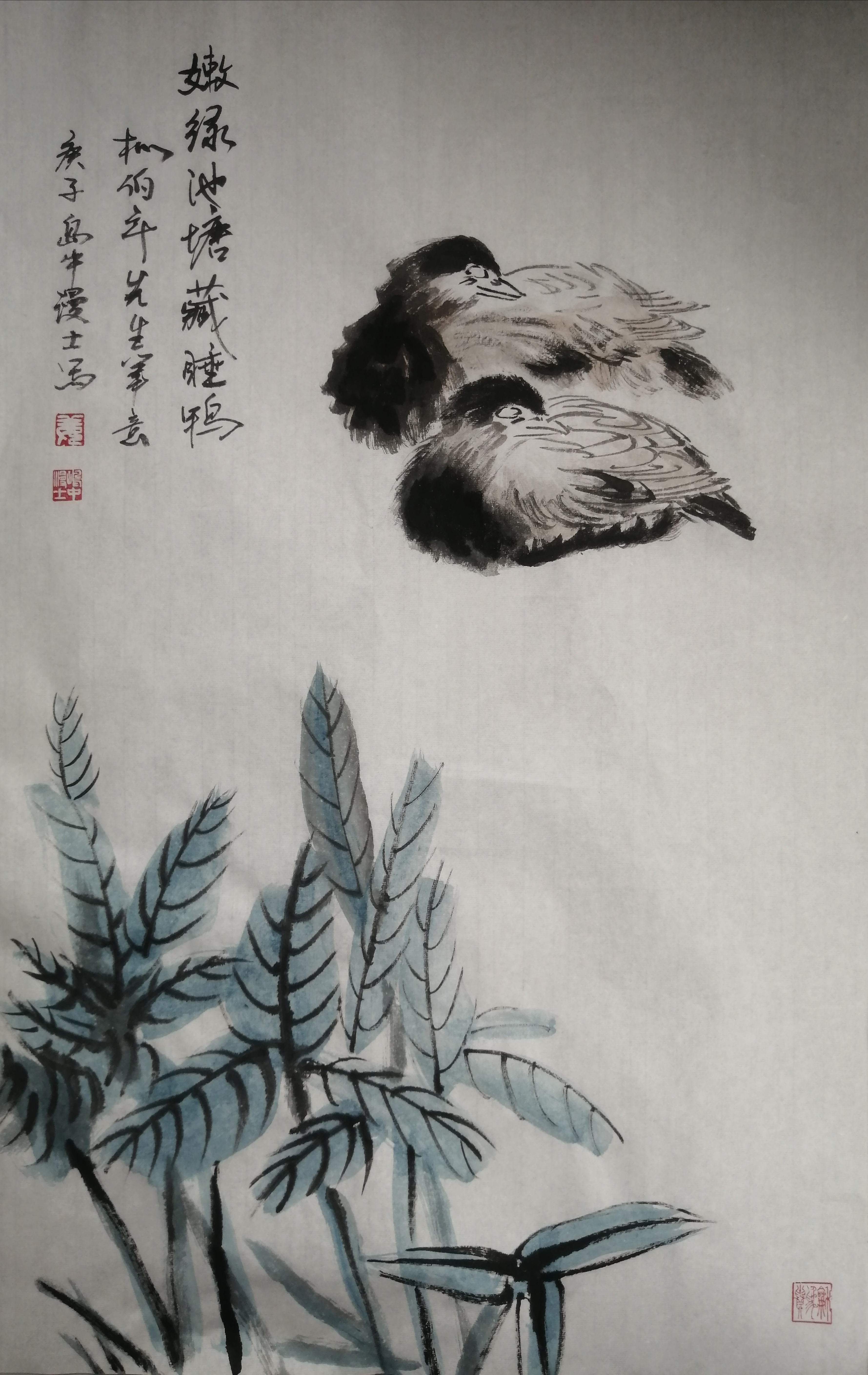 嫩绿池塘藏睡鸭_20200826233937.jpg